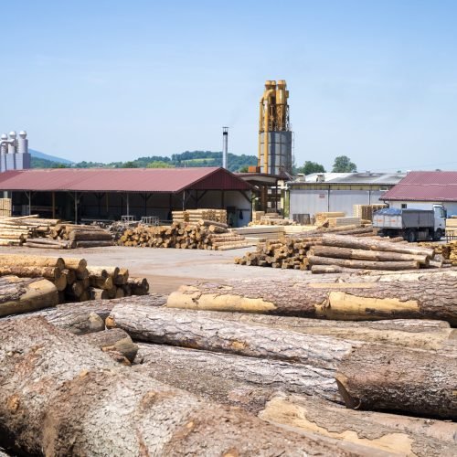 View of industrial sawmill factory for wood processing.
